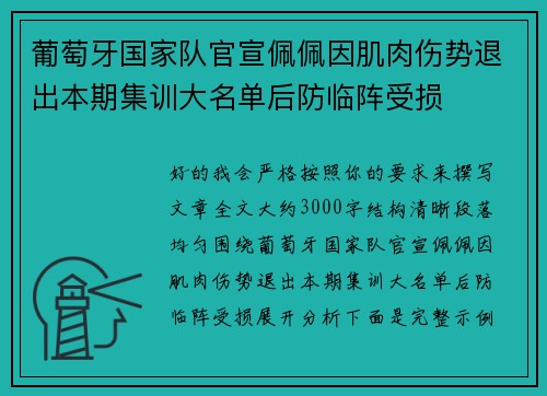 葡萄牙国家队官宣佩佩因肌肉伤势退出本期集训大名单后防临阵受损