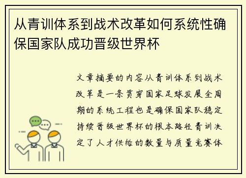 从青训体系到战术改革如何系统性确保国家队成功晋级世界杯